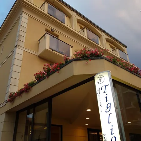 提格里奥酒店 酒店 3*