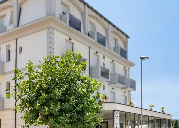 提格里奥酒店 3* 里米尼