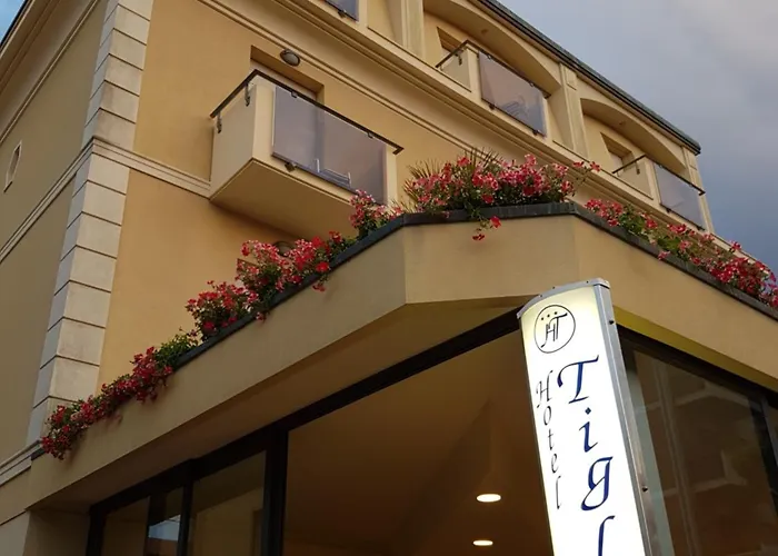 提格里奥酒店 酒店 3*